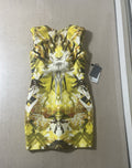 42 Alexander Mcqueen Ss09 Natural Distinction kaleidoscope Printing Silk Dress
